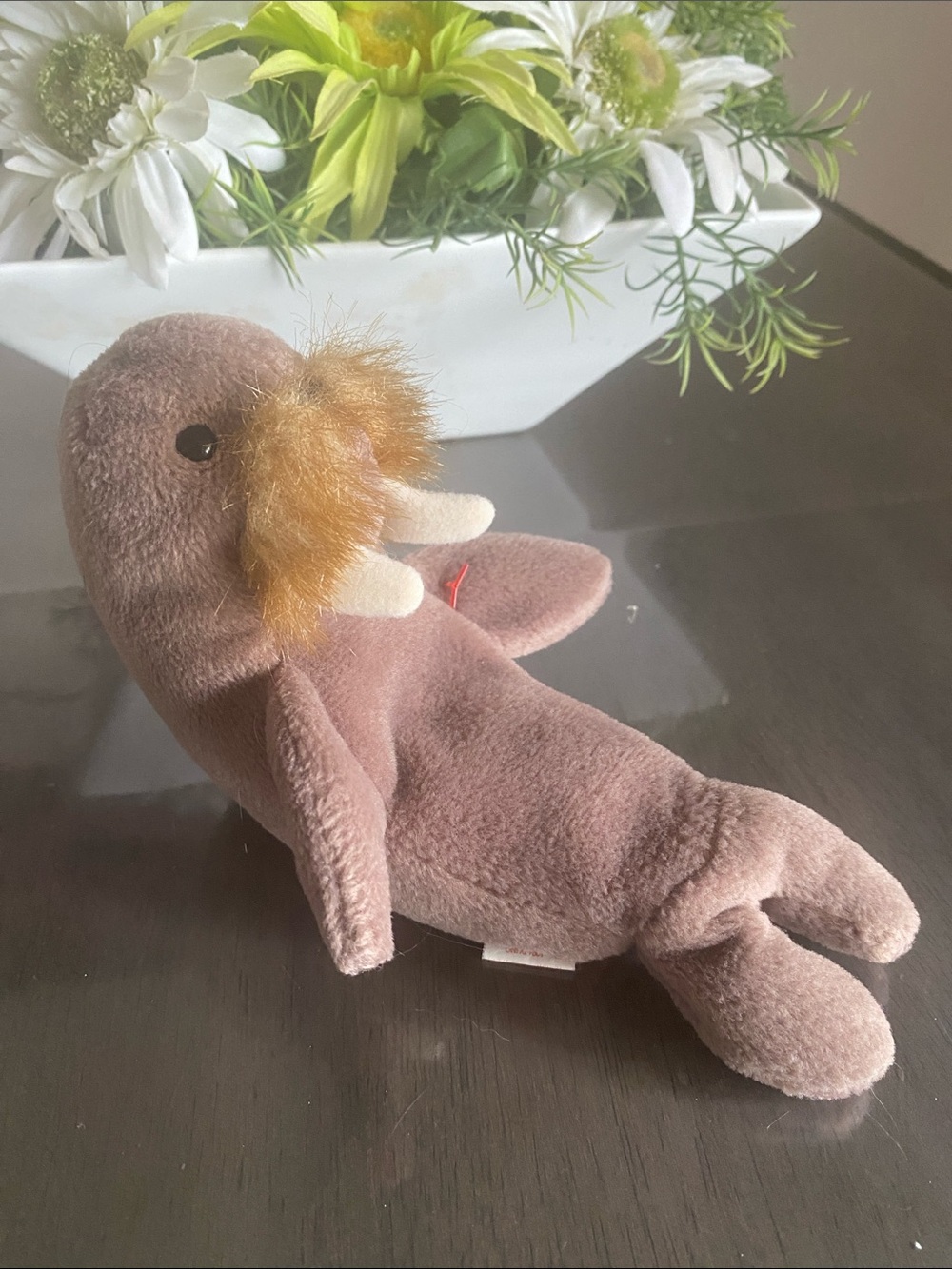 Retired 1996 Ty Beanie Jolly the Walrus plush